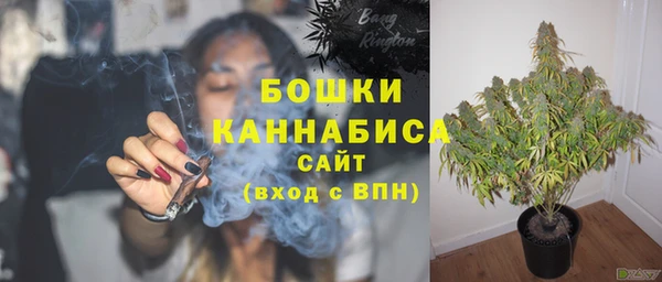ALPHA PVP Корсаков