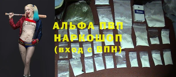 дживик Костерёво