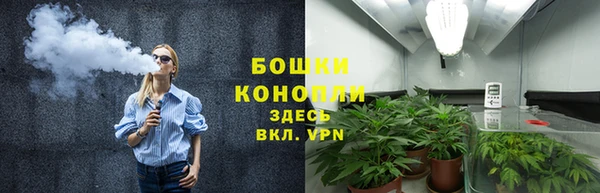 дживик Костерёво